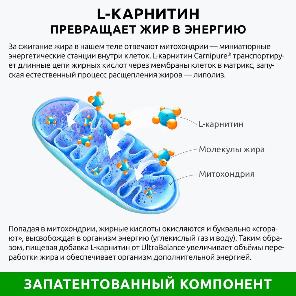 Ultrabalance Л-Карнитин Premium, капсулы, 90 шт.